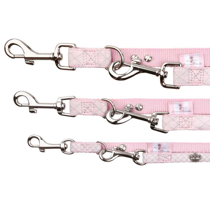 ramal dog princess modern art