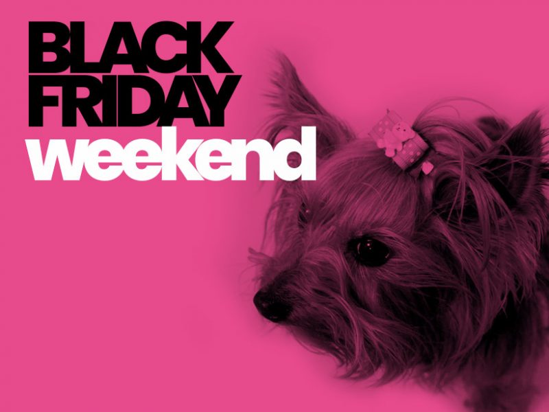 Black Friday Weekend